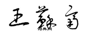 曾慶福王蘇齊草書個性簽名怎么寫