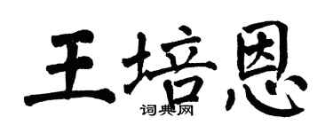 翁闓運王培恩楷書個性簽名怎么寫