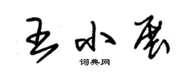 朱錫榮王小展草書個性簽名怎么寫