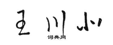駱恆光王川北草書個性簽名怎么寫
