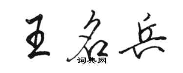 駱恆光王名兵行書個性簽名怎么寫