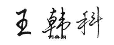 駱恆光王韓科行書個性簽名怎么寫