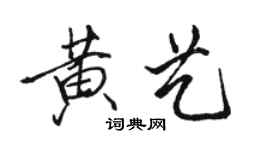 駱恆光黃藝行書個性簽名怎么寫
