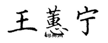 丁謙王蕙寧楷書個性簽名怎么寫