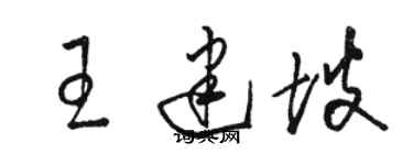 駱恆光王建坡草書個性簽名怎么寫
