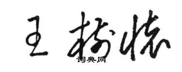 駱恆光王樹懷草書個性簽名怎么寫