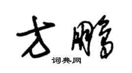 朱錫榮方鵬草書個性簽名怎么寫