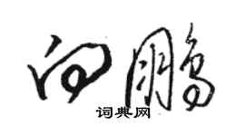 駱恆光向鵬草書個性簽名怎么寫