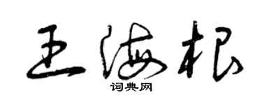 曾慶福王海根草書個性簽名怎么寫