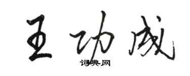 駱恆光王功成行書個性簽名怎么寫