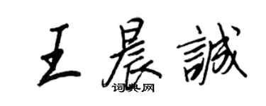 王正良王晨誠行書個性簽名怎么寫