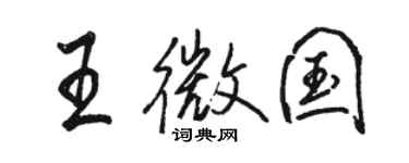 駱恆光王微國行書個性簽名怎么寫