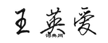 駱恆光王英愛行書個性簽名怎么寫