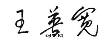 駱恆光王英寬草書個性簽名怎么寫