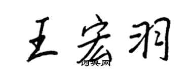 王正良王宏羽行書個性簽名怎么寫