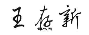 駱恆光王存新行書個性簽名怎么寫