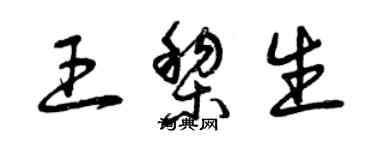 曾慶福王黎生草書個性簽名怎么寫