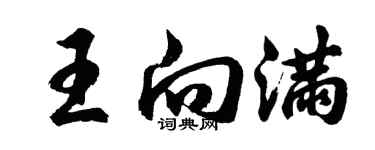 胡問遂王向滿行書個性簽名怎么寫