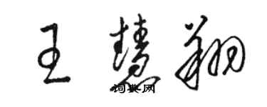 駱恆光王慧翔草書個性簽名怎么寫