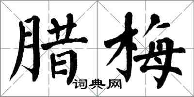 翁闓運臘梅楷書怎么寫