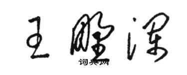 駱恆光王野瀾草書個性簽名怎么寫