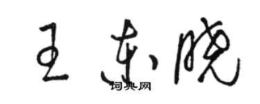 駱恆光王東曉草書個性簽名怎么寫