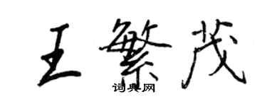 王正良王繁茂行書個性簽名怎么寫