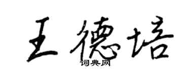 王正良王德培行書個性簽名怎么寫
