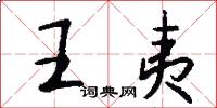 王夷怎么寫好看