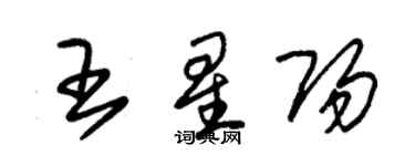 朱錫榮王星陽草書個性簽名怎么寫