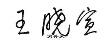 駱恆光王曉宣草書個性簽名怎么寫