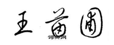 梁錦英王苗圃草書個性簽名怎么寫