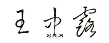 駱恆光王中露草書個性簽名怎么寫