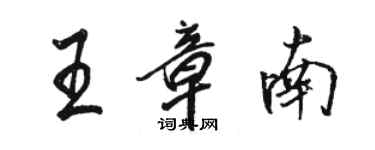 駱恆光王章南行書個性簽名怎么寫