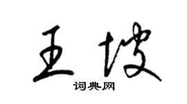 梁錦英王坡草書個性簽名怎么寫