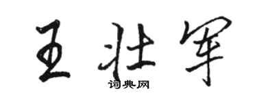 駱恆光王壯軍行書個性簽名怎么寫