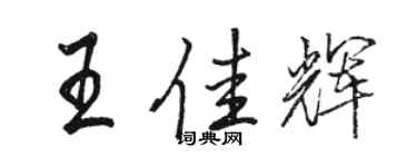 駱恆光王佳輝行書個性簽名怎么寫