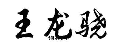 胡問遂王龍驍行書個性簽名怎么寫