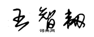 朱錫榮王智韌草書個性簽名怎么寫