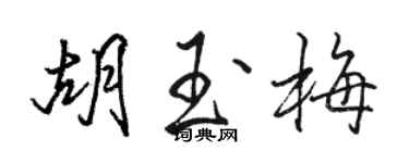 駱恆光胡玉梅行書個性簽名怎么寫