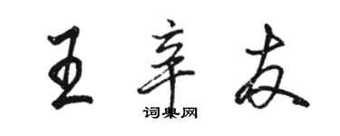 駱恆光王辛友行書個性簽名怎么寫