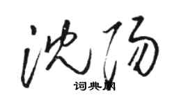 駱恆光瀋陽草書個性簽名怎么寫