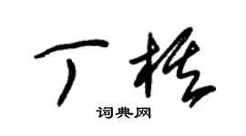 朱錫榮丁棋草書個性簽名怎么寫