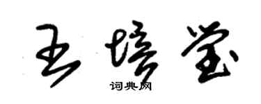 朱錫榮王培瑩草書個性簽名怎么寫