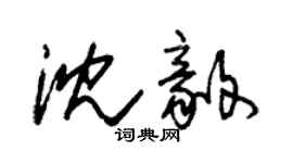 朱錫榮沈毅草書個性簽名怎么寫