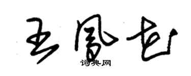 朱錫榮王鳳花草書個性簽名怎么寫