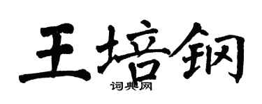 翁闓運王培鋼楷書個性簽名怎么寫