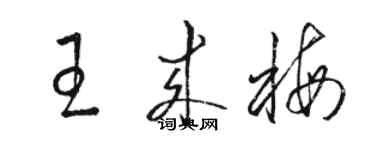 駱恆光王來梅草書個性簽名怎么寫