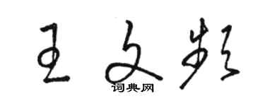 駱恆光王文頻草書個性簽名怎么寫