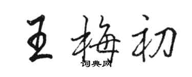 駱恆光王梅初行書個性簽名怎么寫